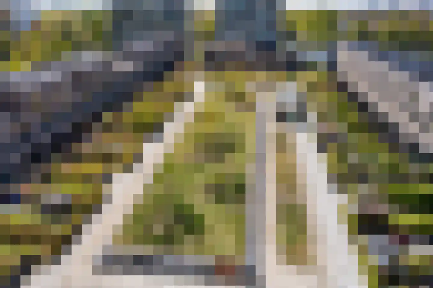 Binckhorstlaan 313 S Den Haag thumbnail 26