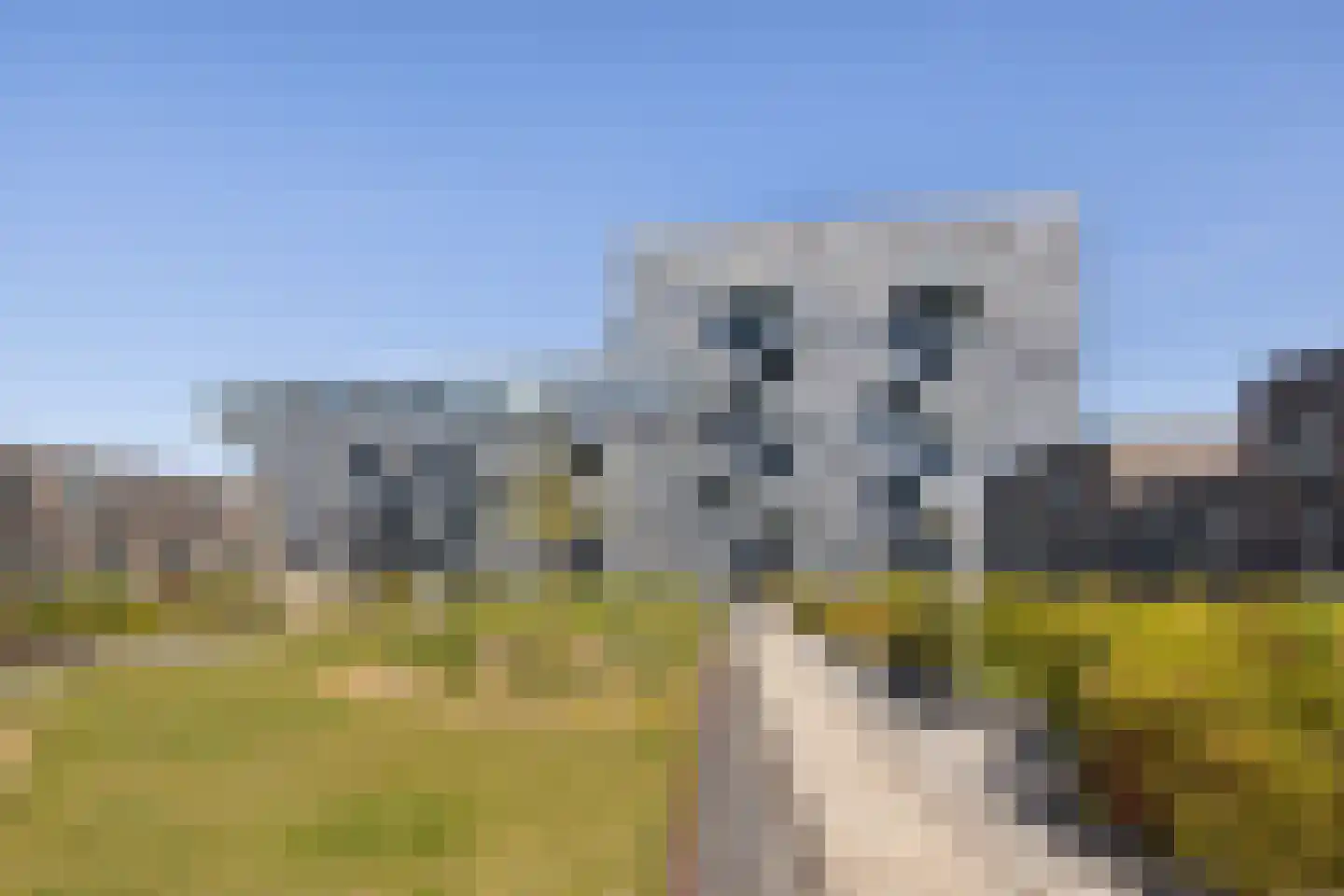 Binckhorstlaan 313 S Den Haag thumbnail 27