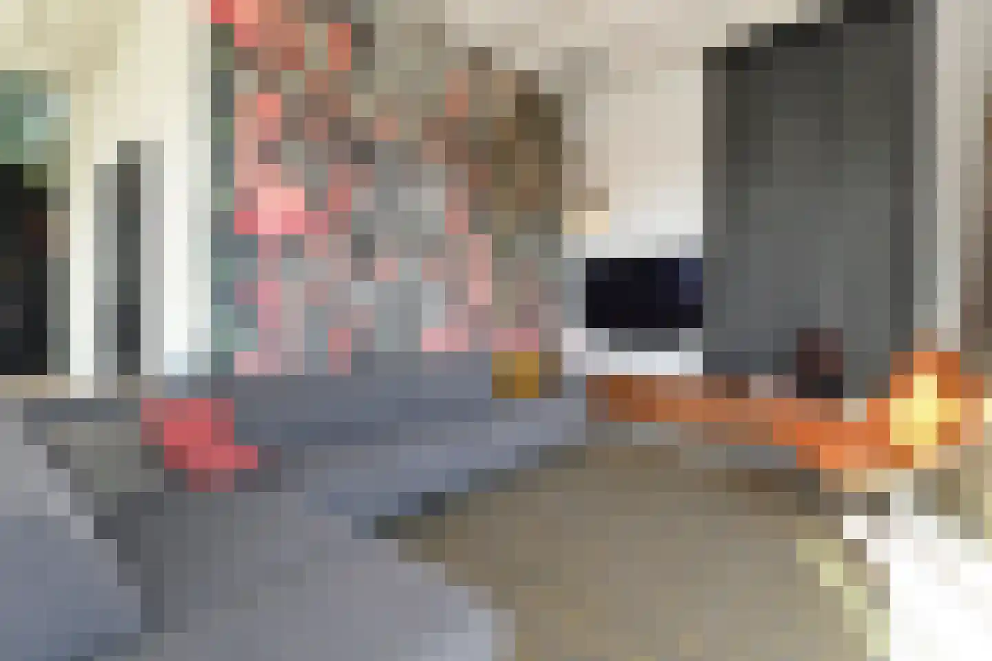 Binckhorstlaan 315 F Den Haag thumbnail 14