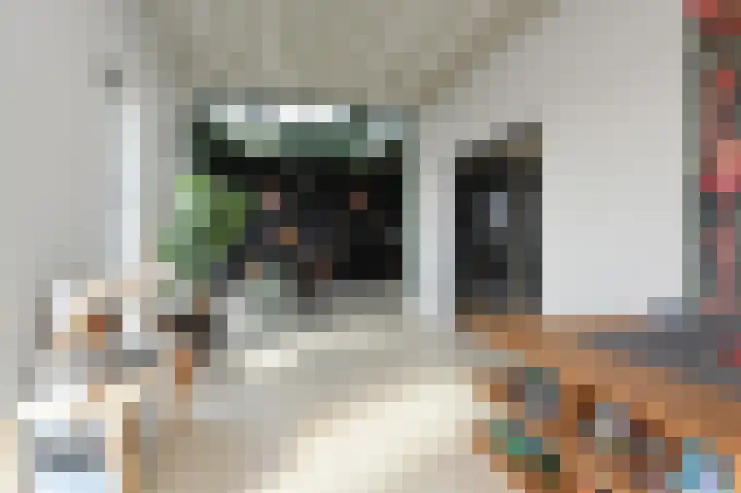 Binckhorstlaan 315 F Den Haag thumbnail 22