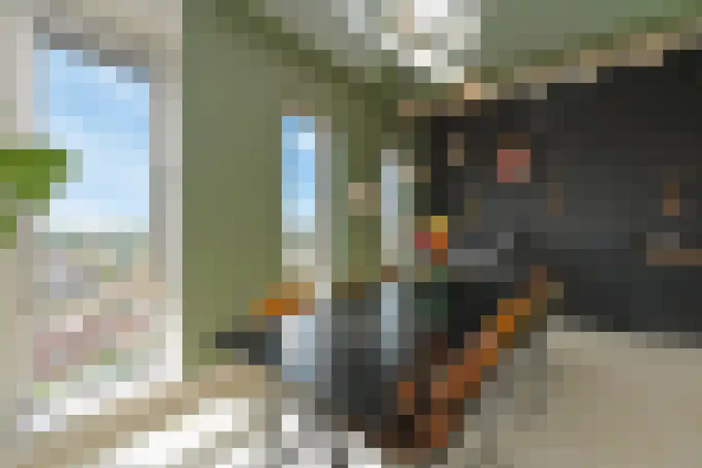Binckhorstlaan 315 F Den Haag thumbnail 23