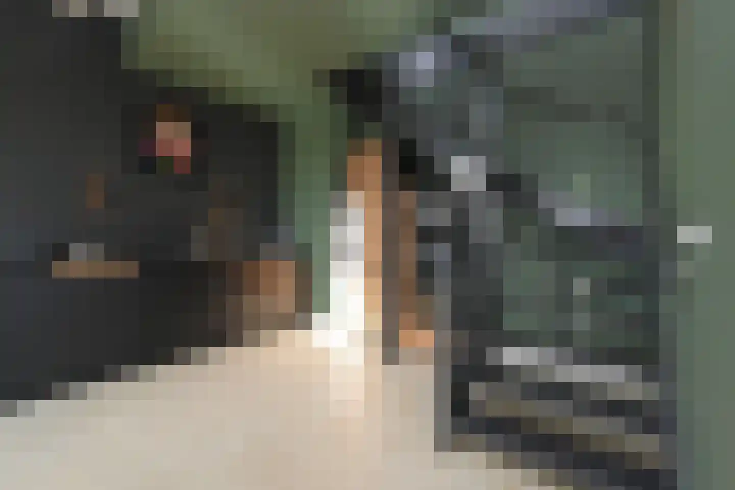 Binckhorstlaan 315 F Den Haag thumbnail 25