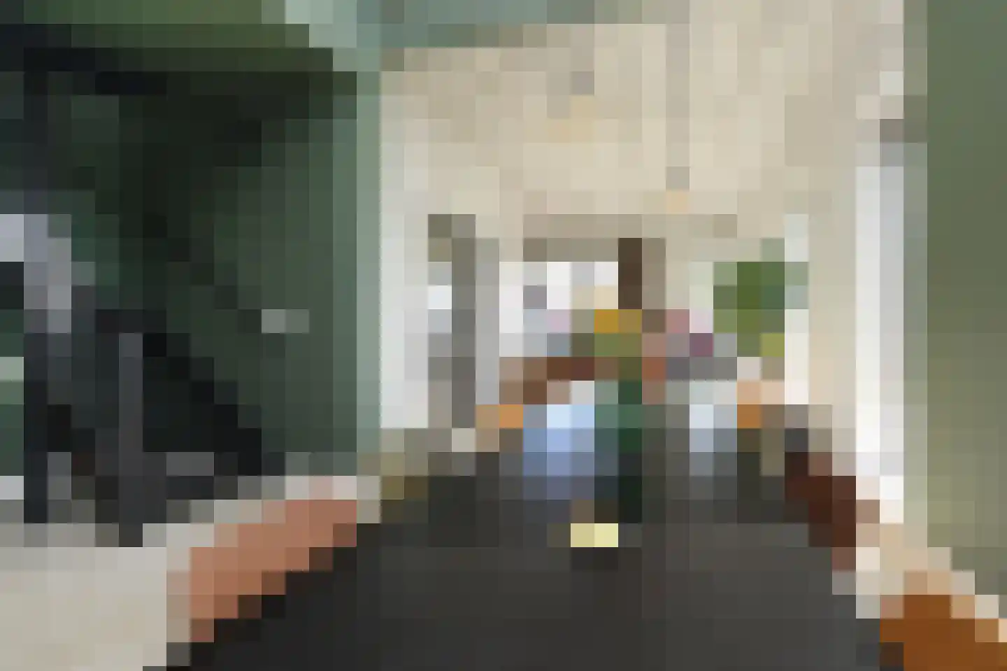 Binckhorstlaan 315 F Den Haag thumbnail 26