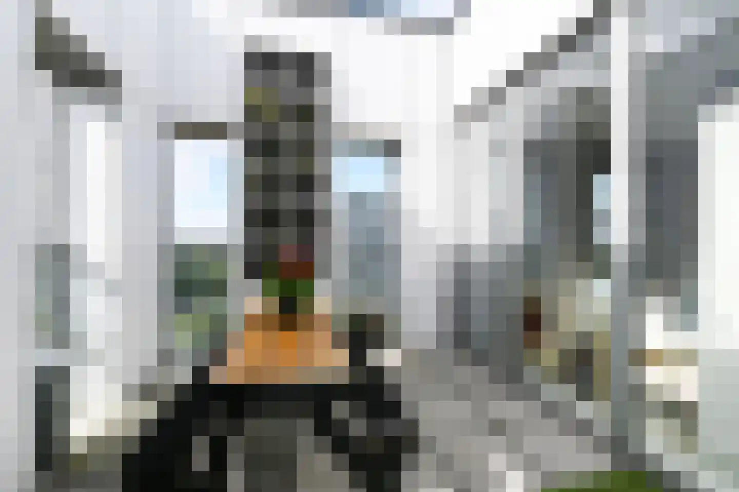 Binckhorstlaan 315 F Den Haag thumbnail 33