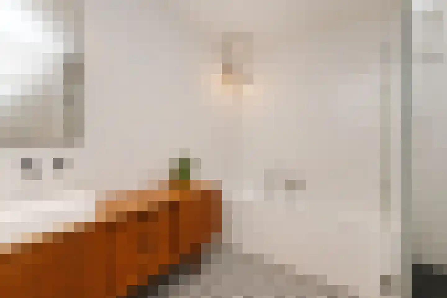 Binckhorstlaan 315 F Den Haag thumbnail 35