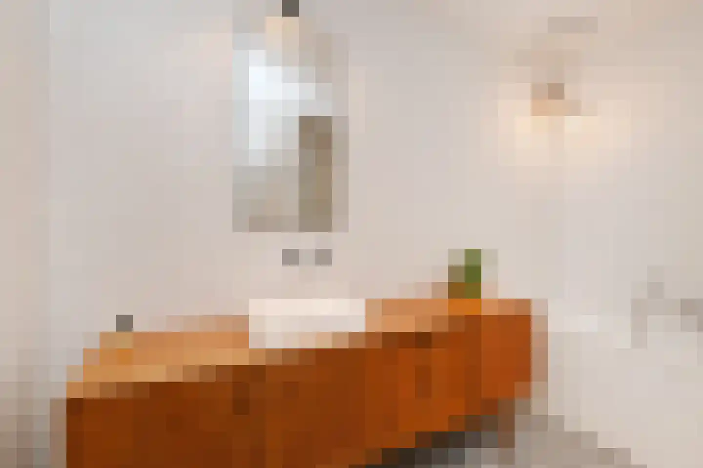 Binckhorstlaan 315 F Den Haag thumbnail 36