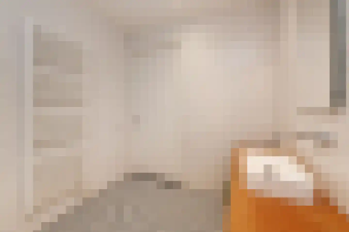 Binckhorstlaan 315 F Den Haag thumbnail 37