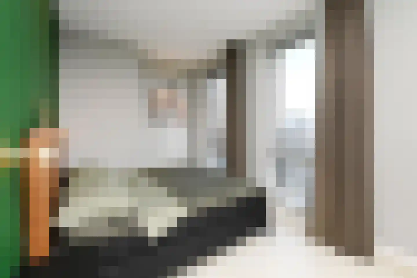 Binckhorstlaan 315 F Den Haag thumbnail 39
