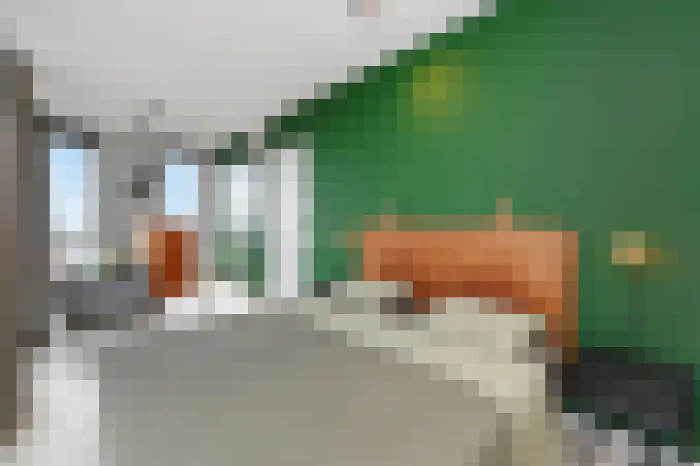 Binckhorstlaan 315 F Den Haag thumbnail 40