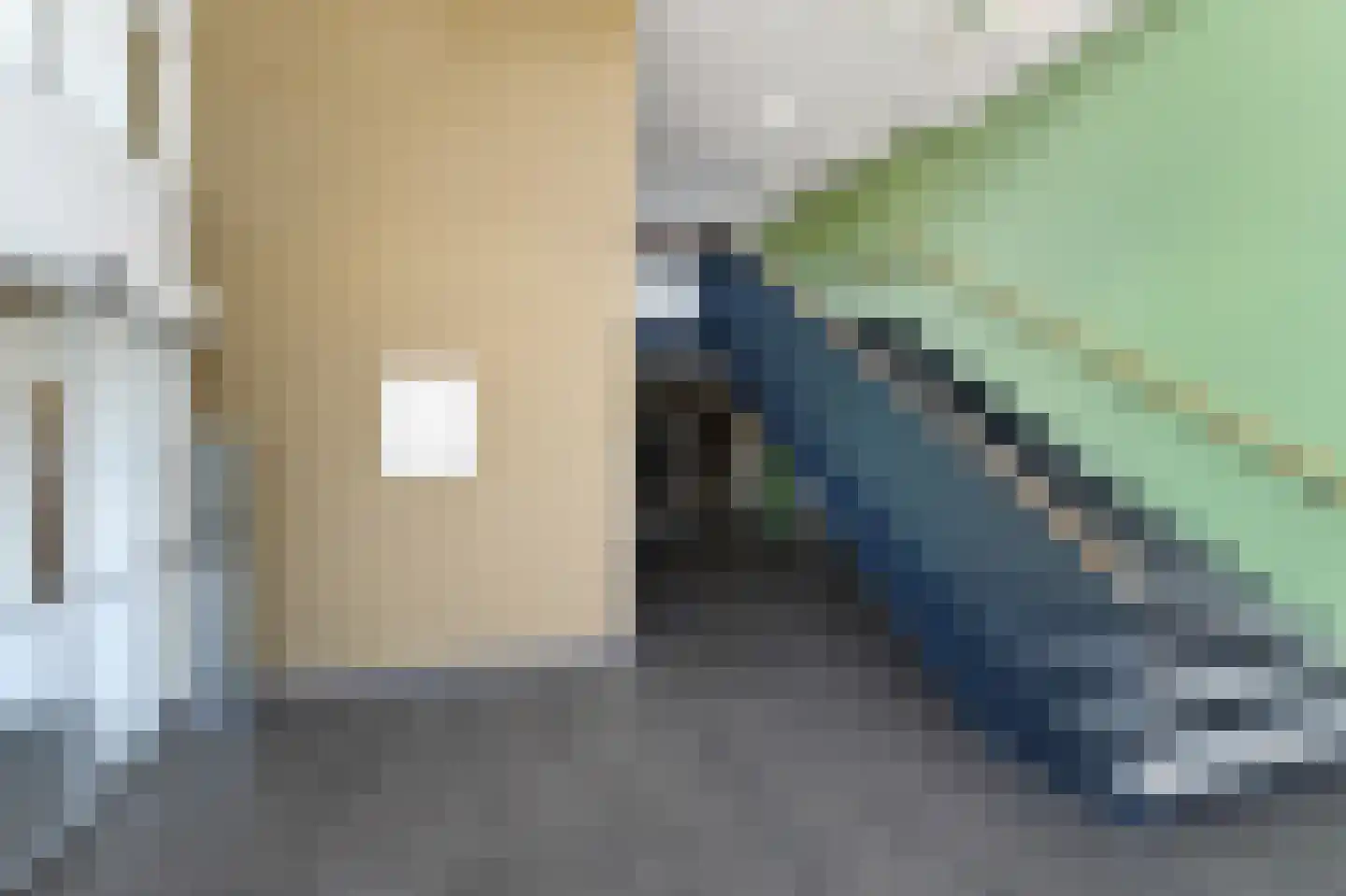 Binckhorstlaan 315 F Den Haag thumbnail 42