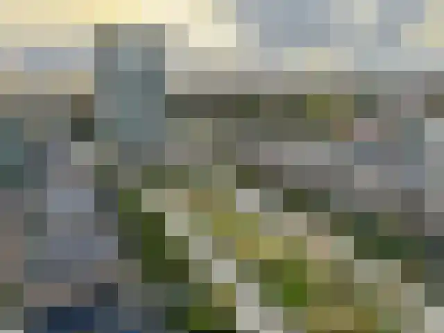Binckhorstlaan 315 F Den Haag thumbnail 50