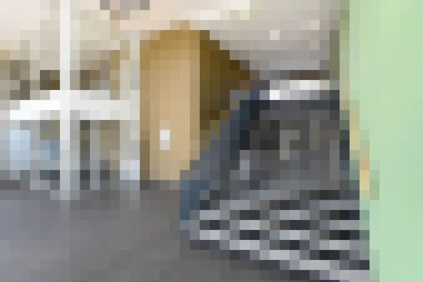 Binckhorstlaan 315 F Den Haag thumbnail 8