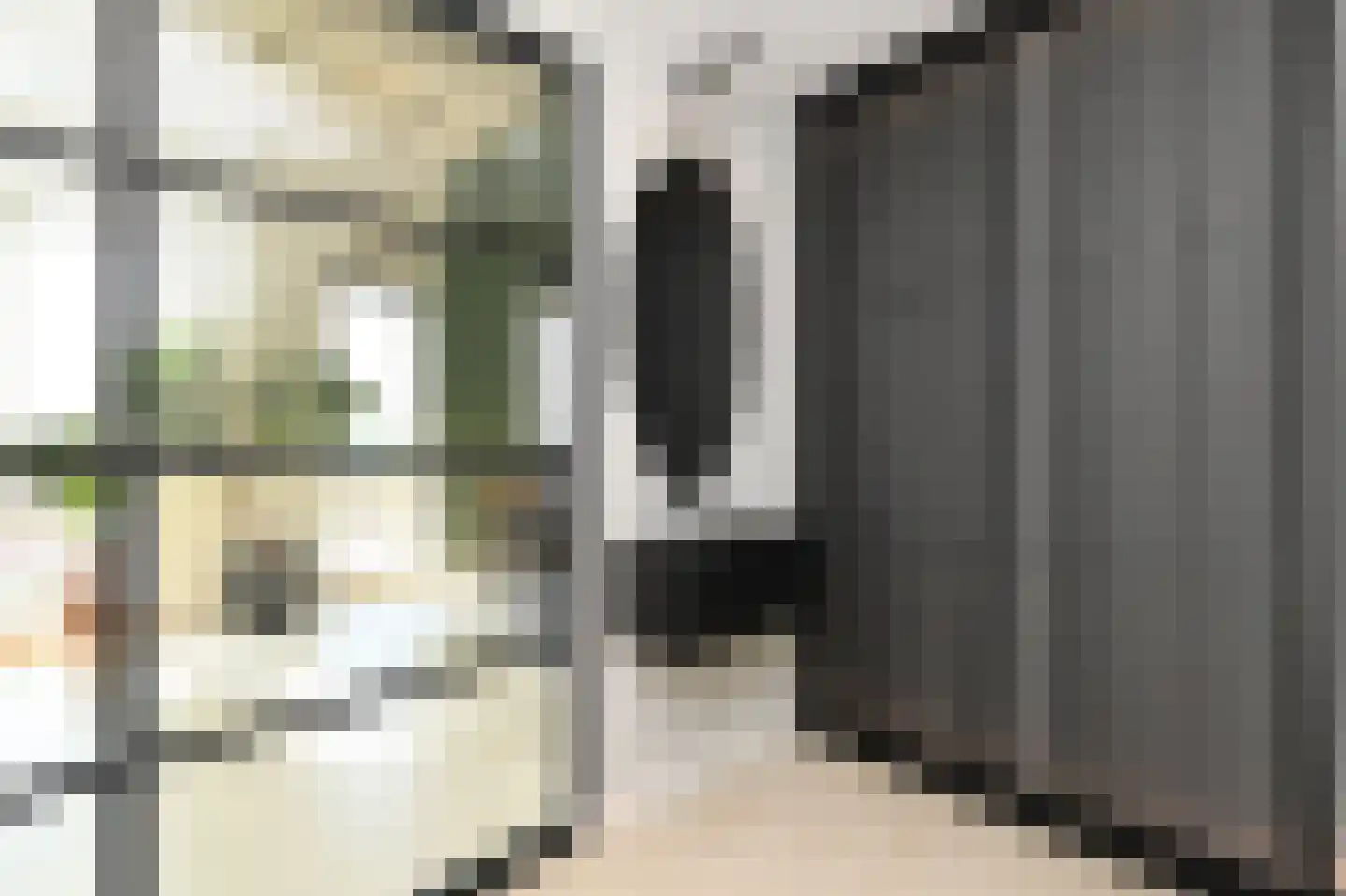 Binckhorstlaan 315 F Den Haag thumbnail 9
