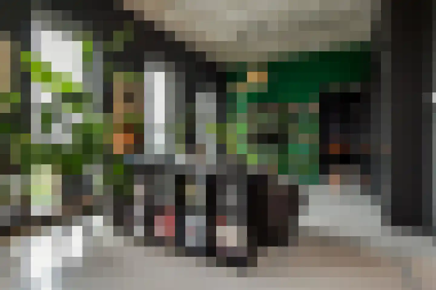 Binckhorstlaan 315 U Den Haag thumbnail 12