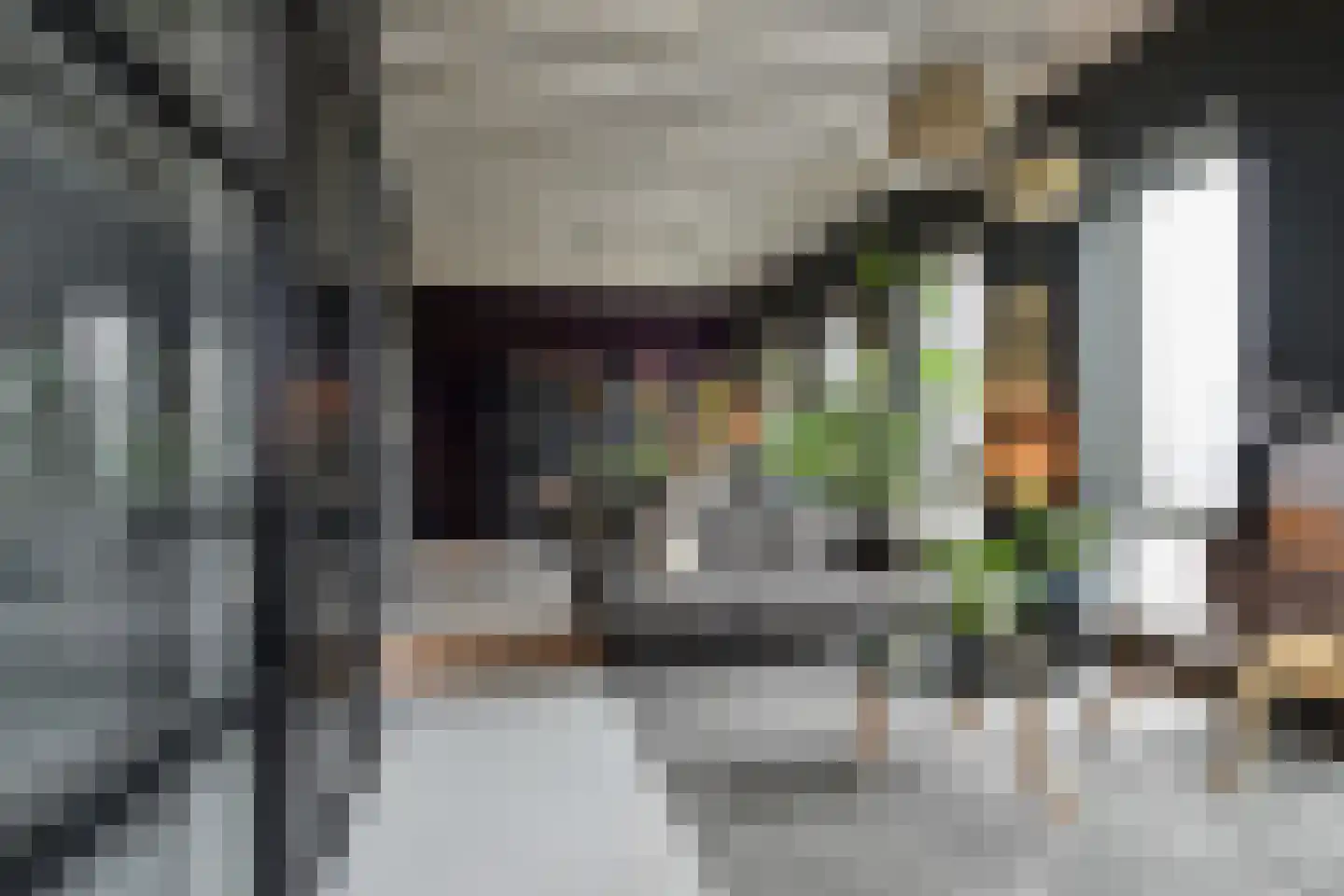 Binckhorstlaan 315 U Den Haag thumbnail 17