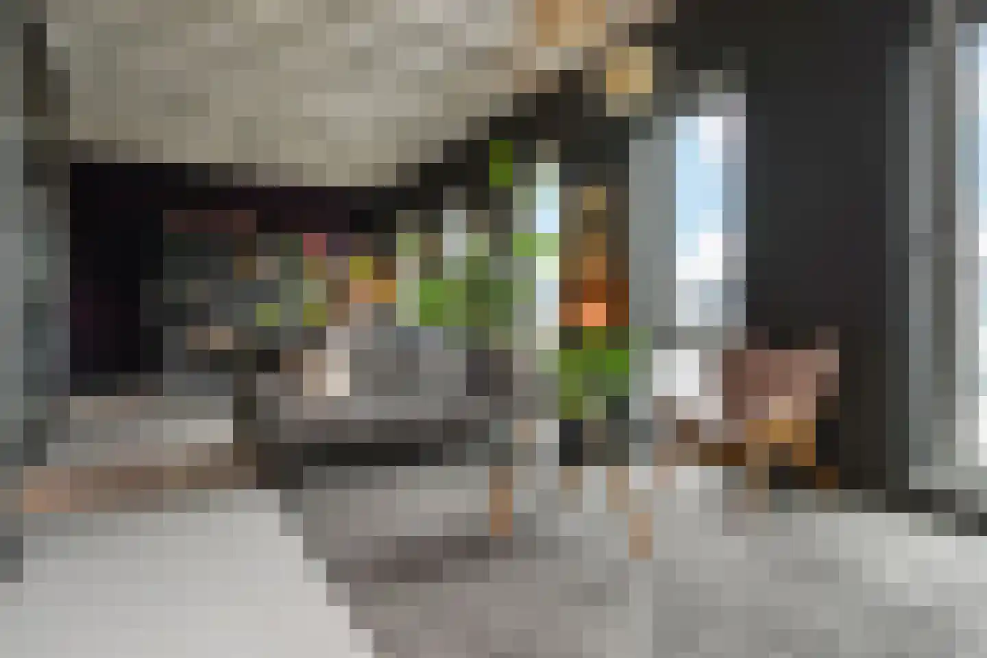 Binckhorstlaan 315 U Den Haag thumbnail 18