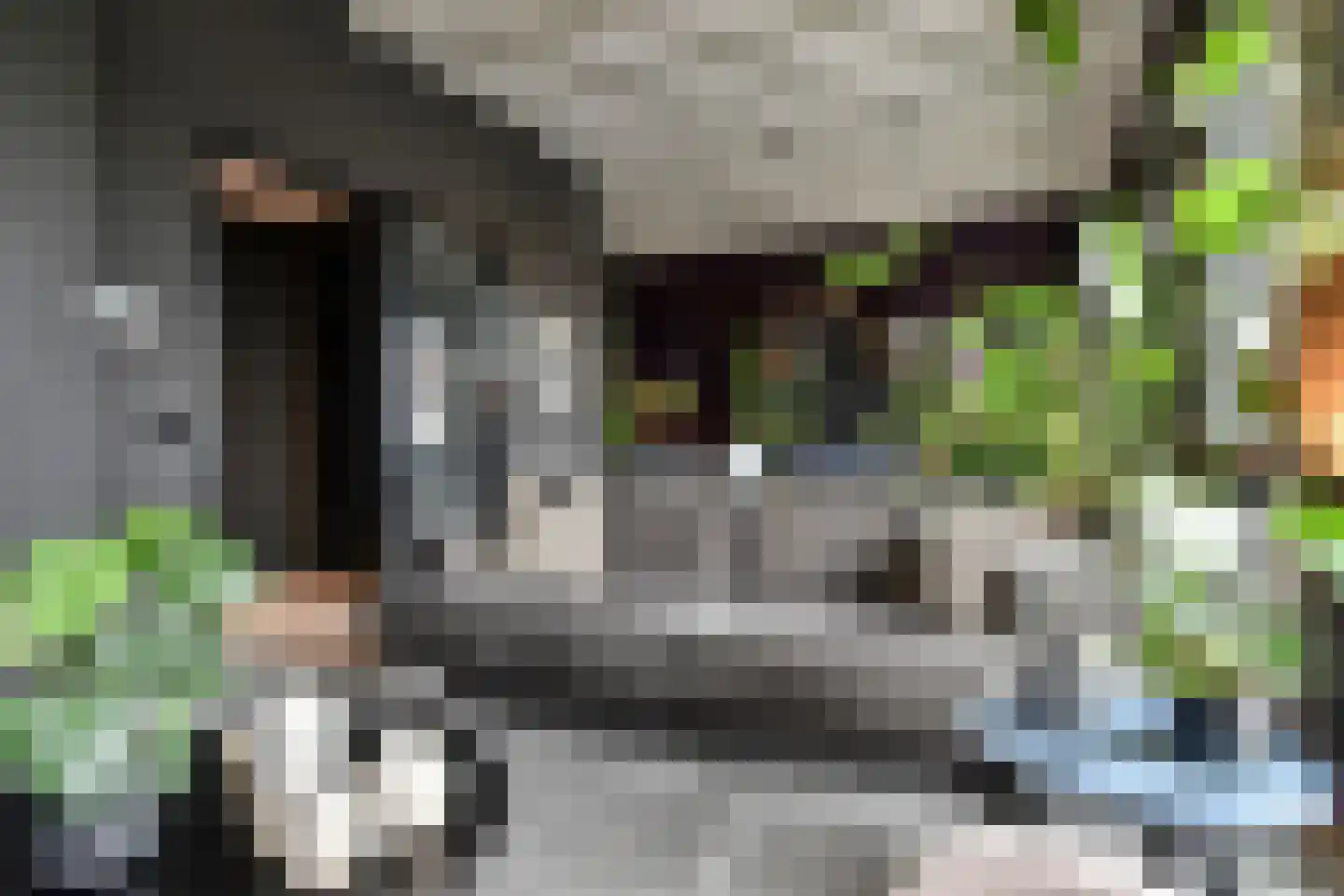 Binckhorstlaan 315 U Den Haag thumbnail 20