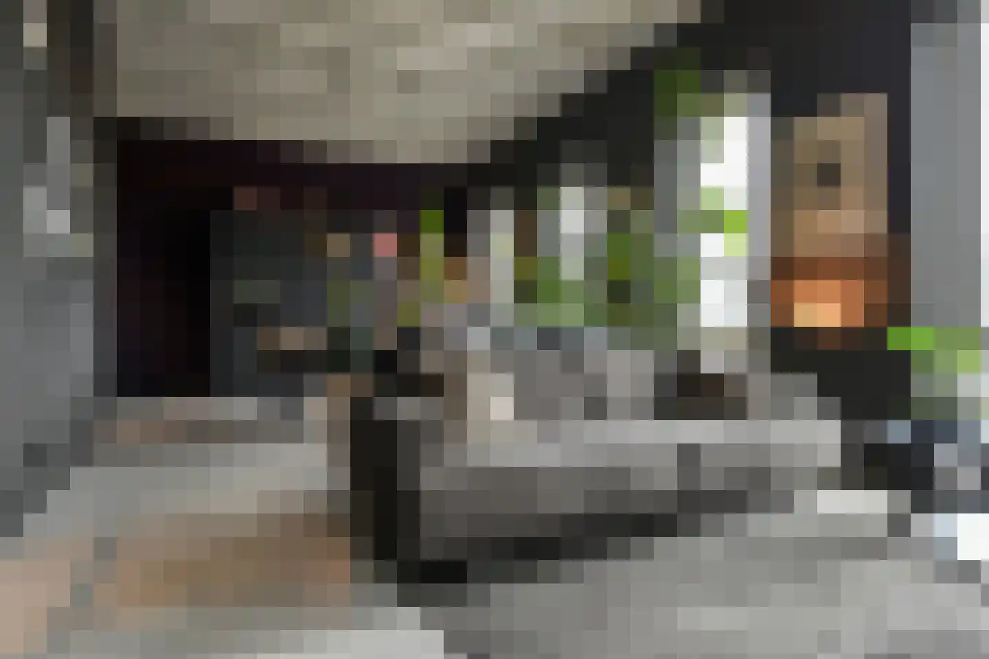 Binckhorstlaan 315 U Den Haag thumbnail 21
