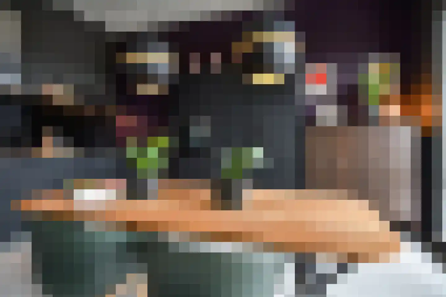 Binckhorstlaan 315 U Den Haag thumbnail 25