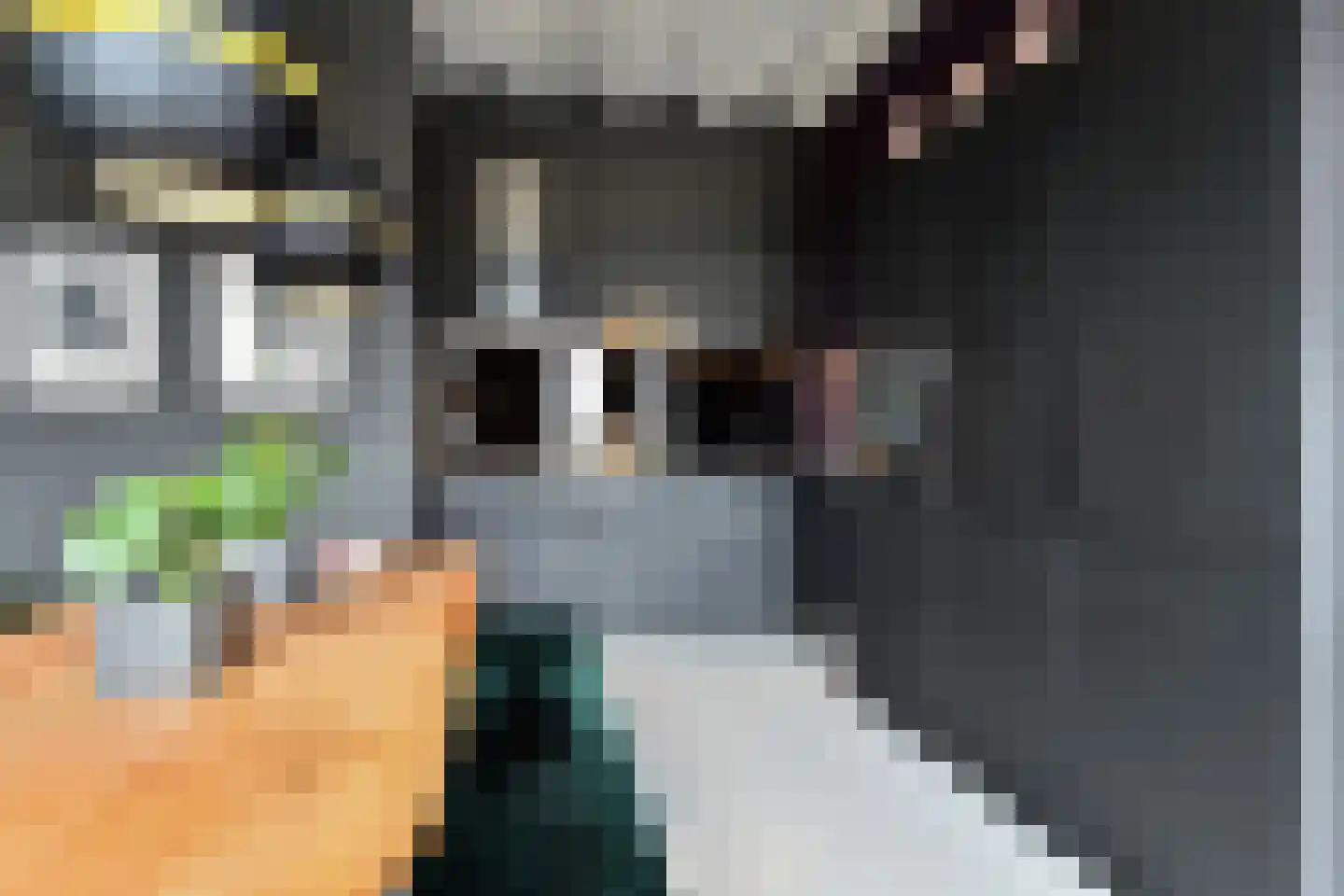 Binckhorstlaan 315 U Den Haag thumbnail 29