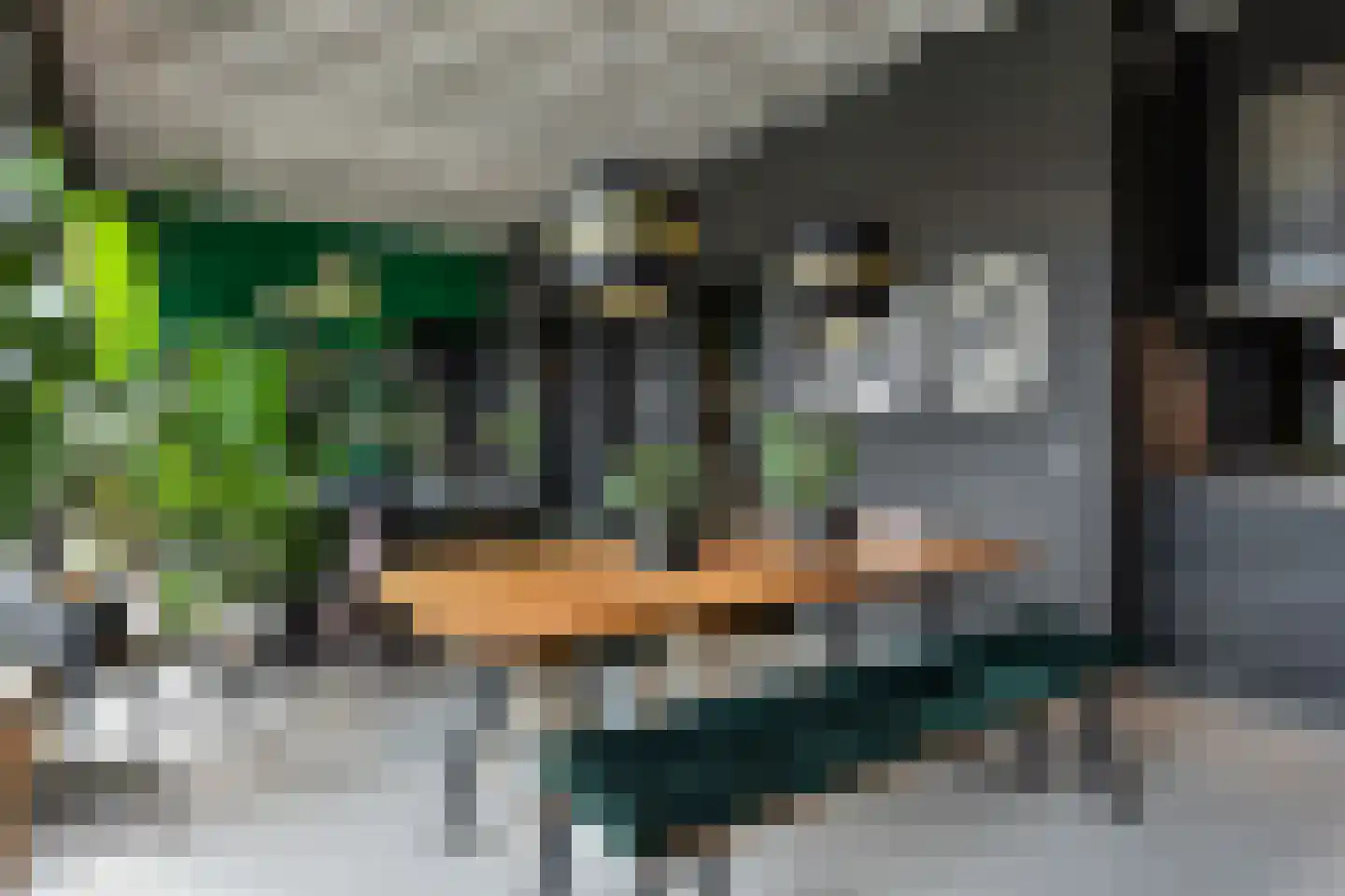 Binckhorstlaan 315 U Den Haag thumbnail 31