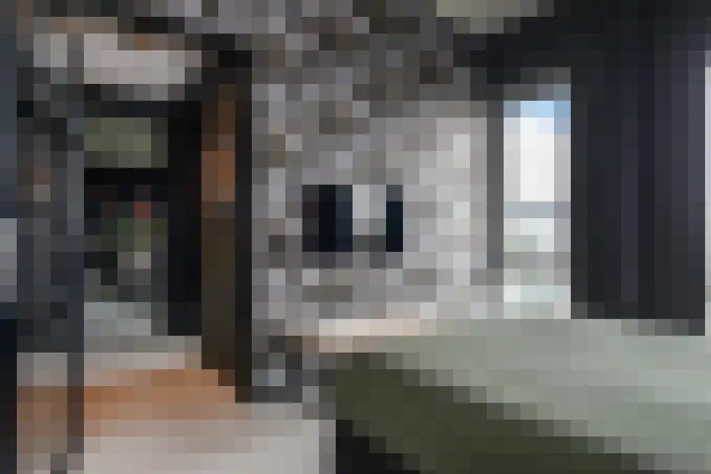Binckhorstlaan 315 U Den Haag thumbnail 40