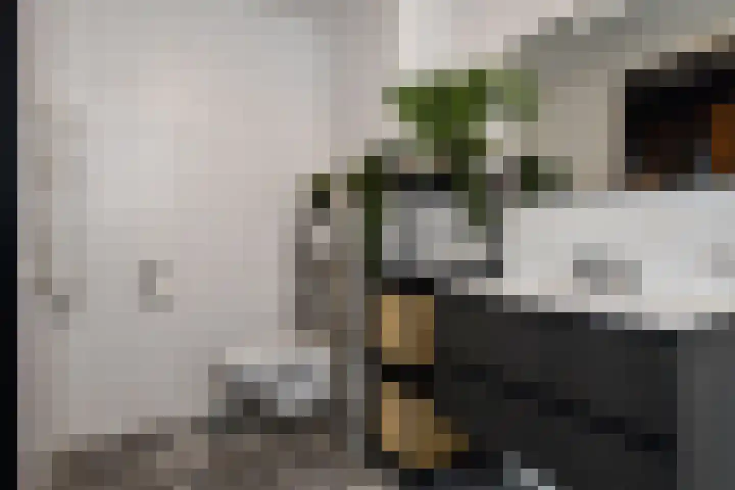 Binckhorstlaan 315 U Den Haag thumbnail 44
