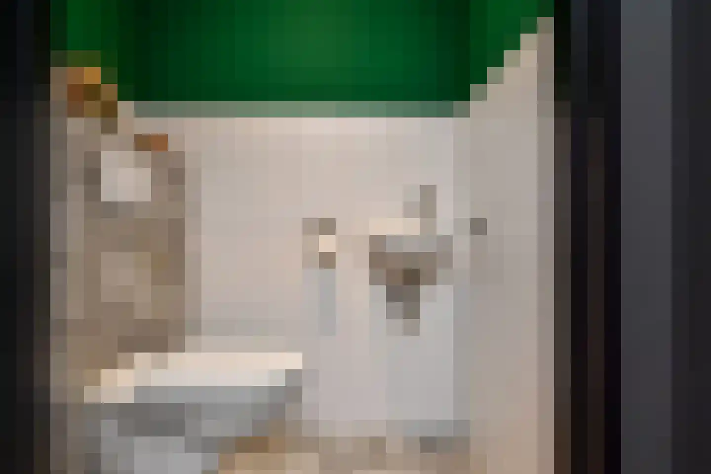 Binckhorstlaan 315 U Den Haag thumbnail 45