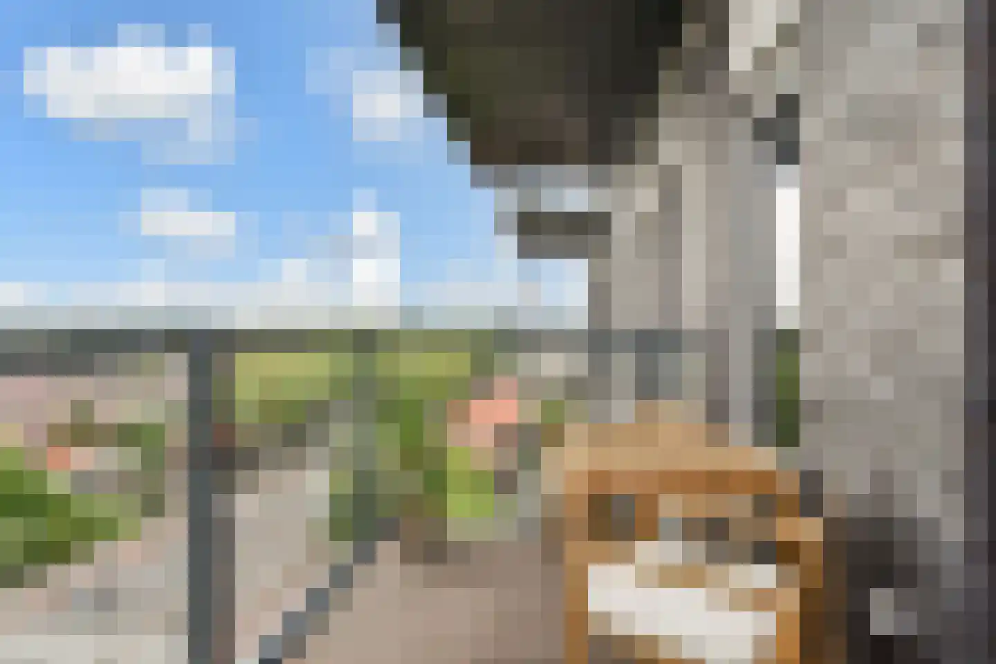 Binckhorstlaan 315 U Den Haag thumbnail 48