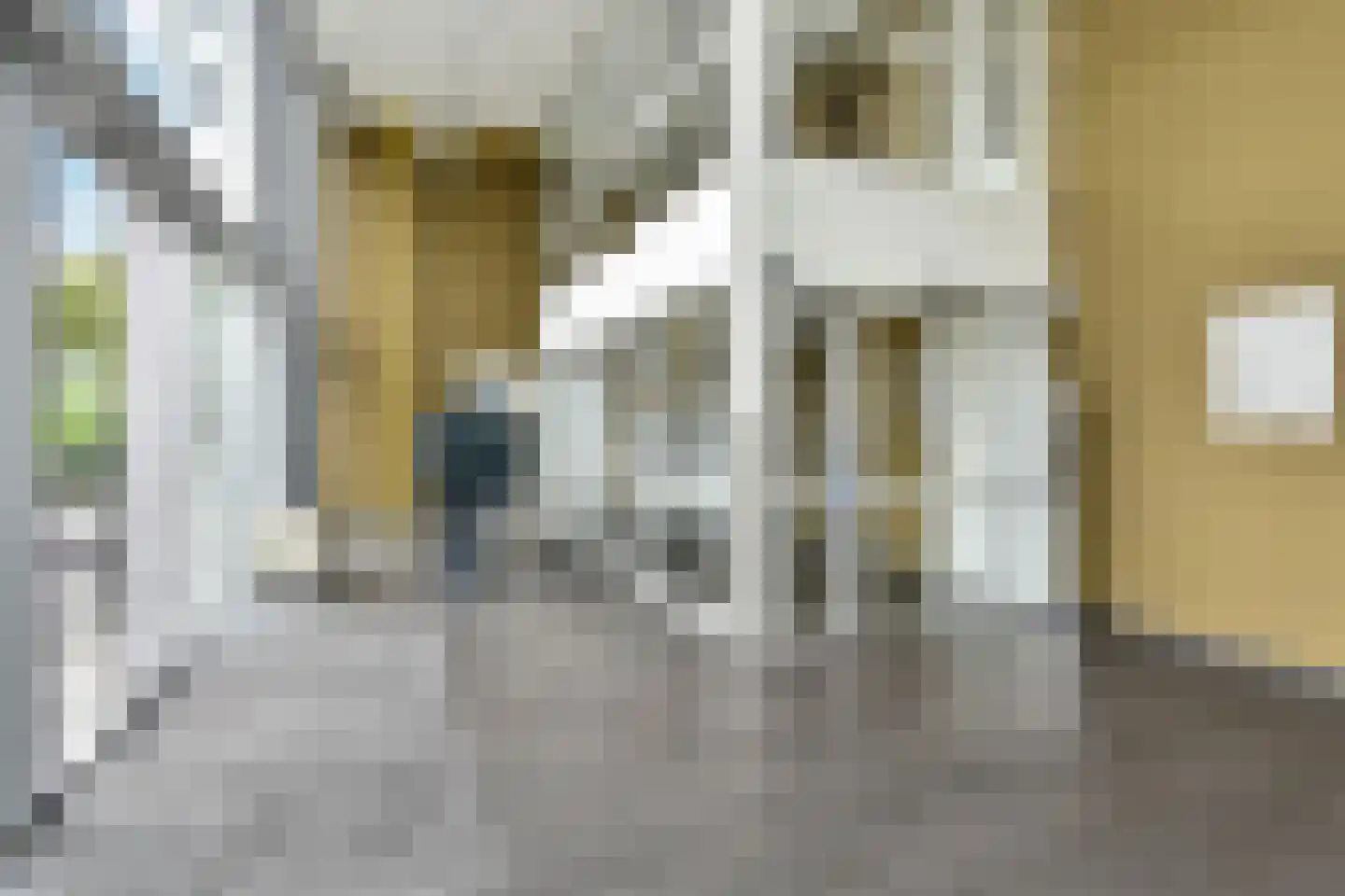 Binckhorstlaan 315 U Den Haag thumbnail 6