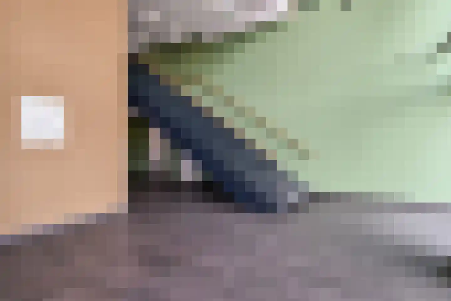 Binckhorstlaan 315 U Den Haag thumbnail 7