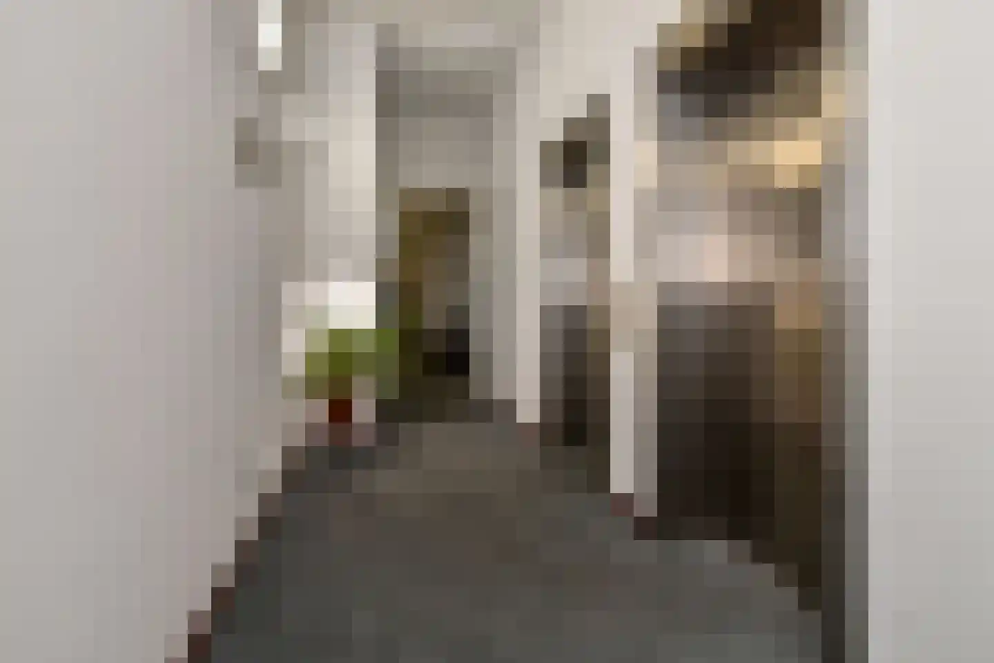 Binckhorstlaan 315 U Den Haag thumbnail 8