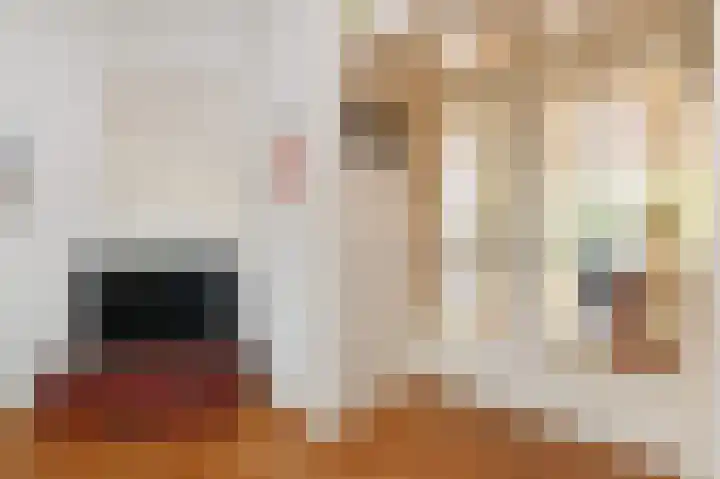 Binckhorstlaan 6 Voorburg thumbnail 11