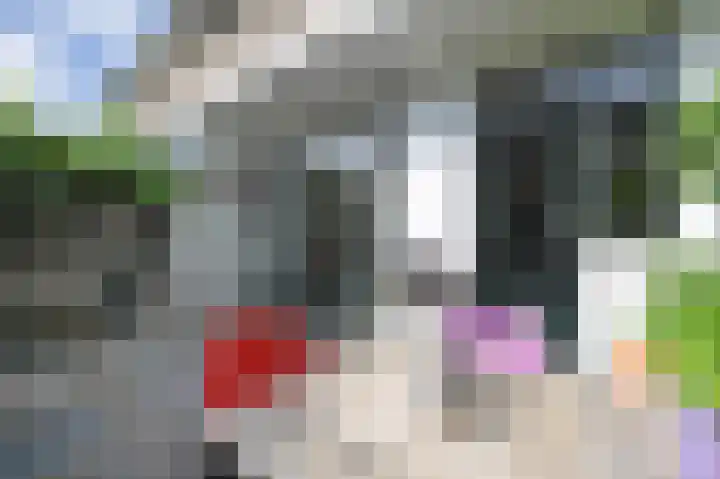 Binckhorstlaan 6 Voorburg thumbnail 28