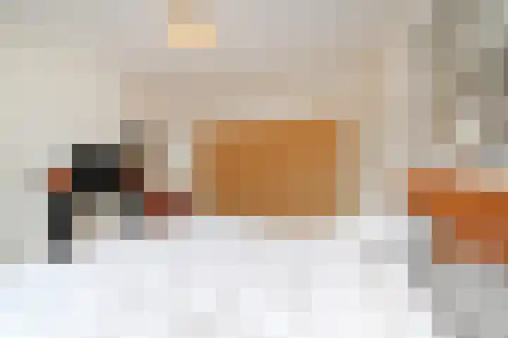 Binckhorstlaan 6 Voorburg thumbnail 32