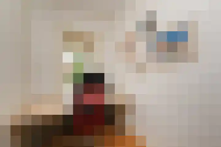 Binckhorstlaan 6 Voorburg thumbnail 41