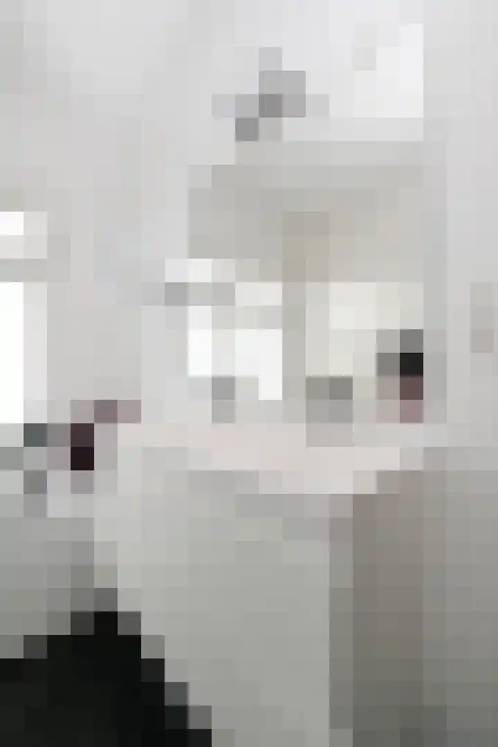 Binckhorstlaan 6 Voorburg thumbnail 48