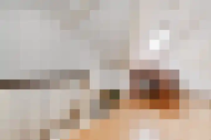 Binckhorstlaan 6 Voorburg thumbnail 53