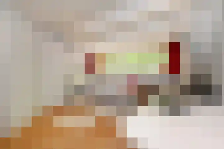 Binckhorstlaan 6 Voorburg thumbnail 54