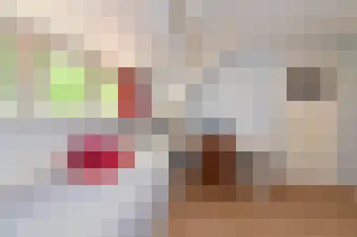 Binckhorstlaan 6 Voorburg thumbnail 55