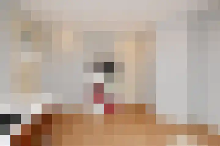 Binckhorstlaan 6 Voorburg thumbnail 56