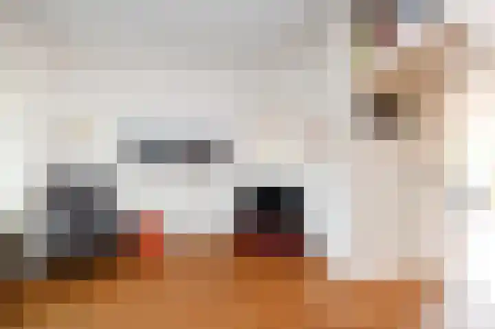 Binckhorstlaan 6 Voorburg thumbnail 9
