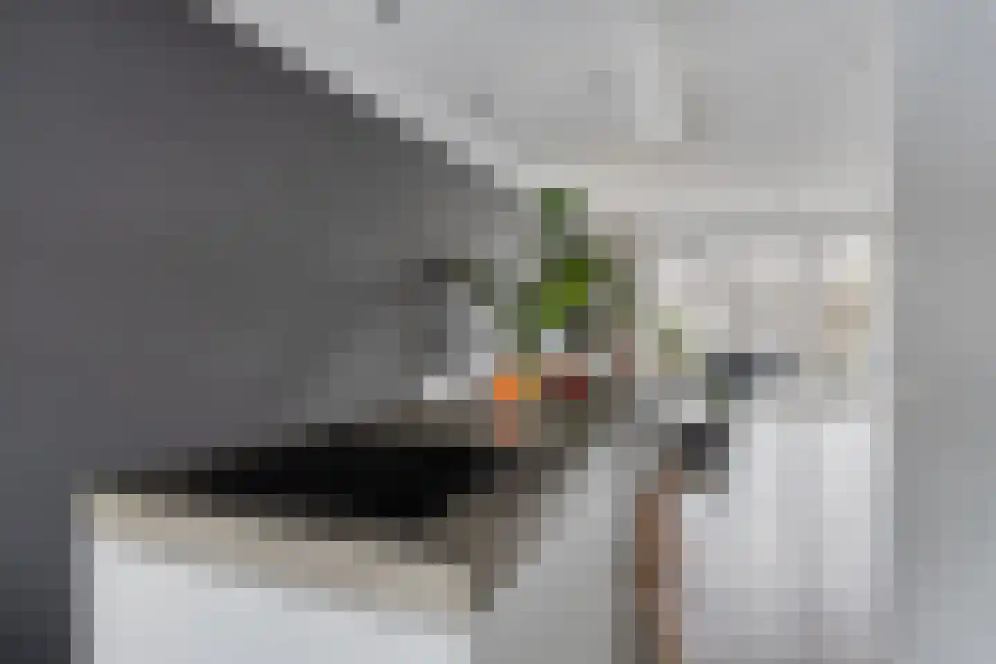 Binderij 2 Hengelo thumbnail 21