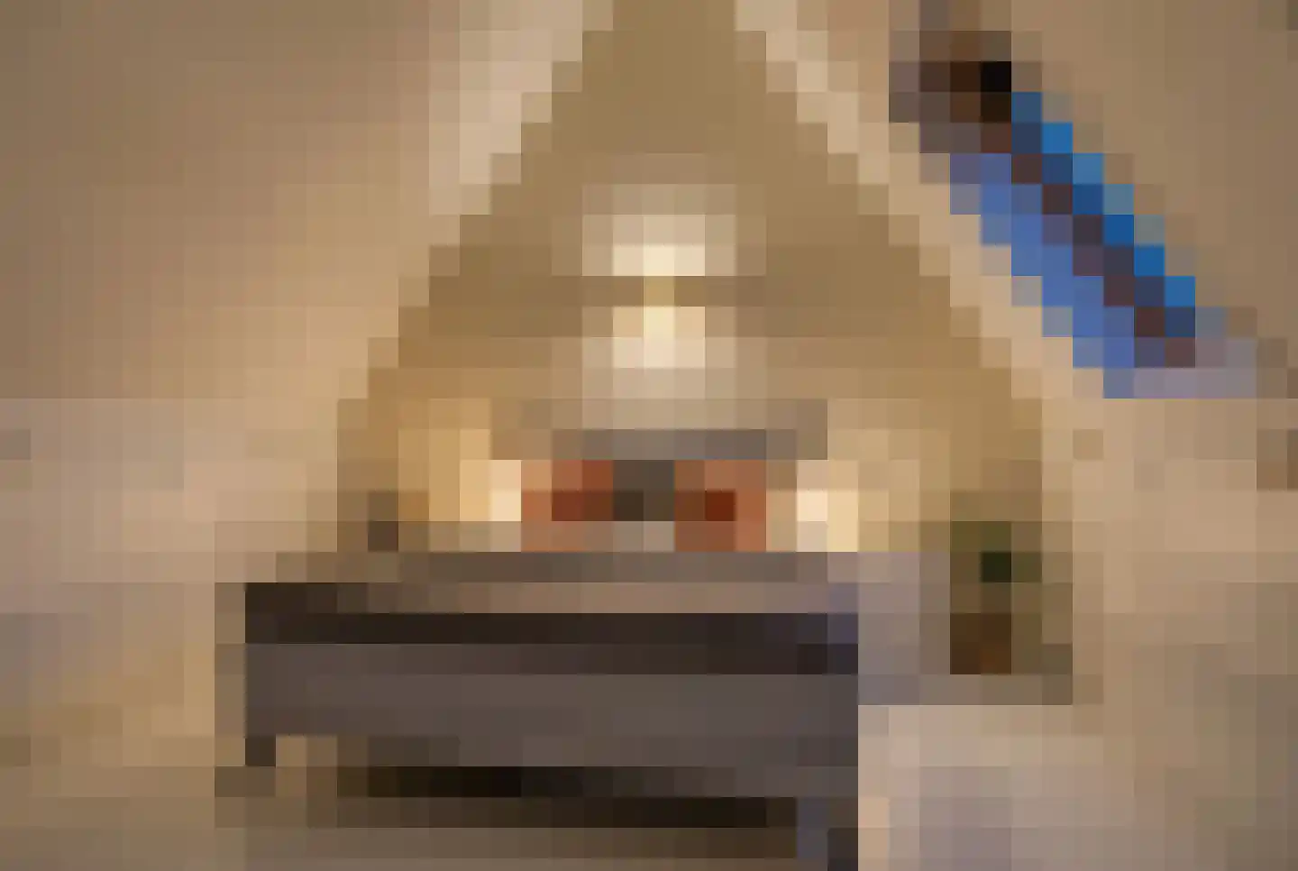 Binderij 2 Hengelo thumbnail 4