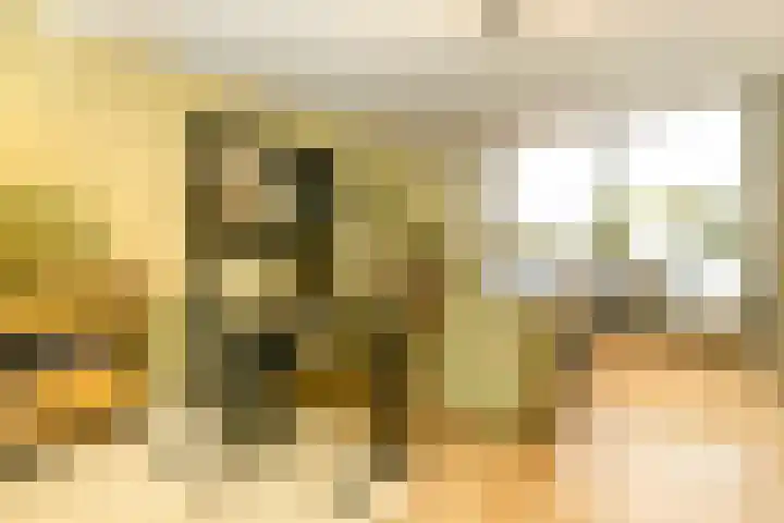 Binderseind 11 Gemert thumbnail 11