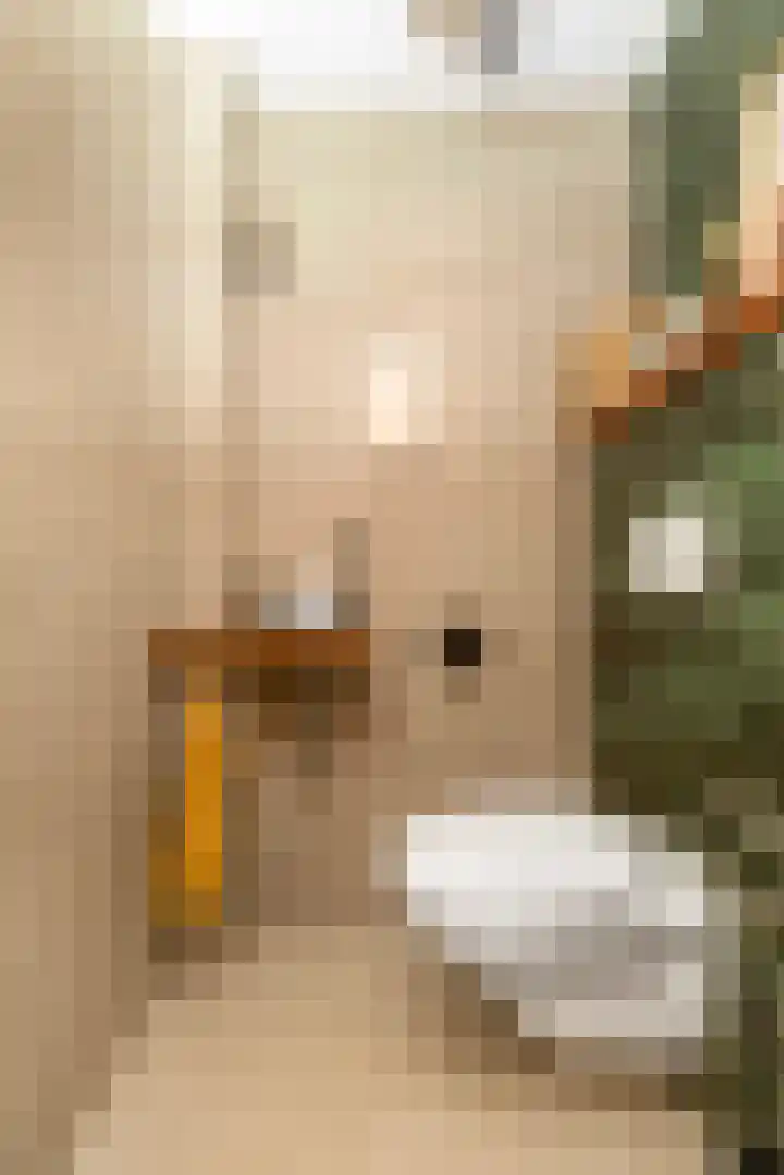 Binderseind 11 Gemert thumbnail 8