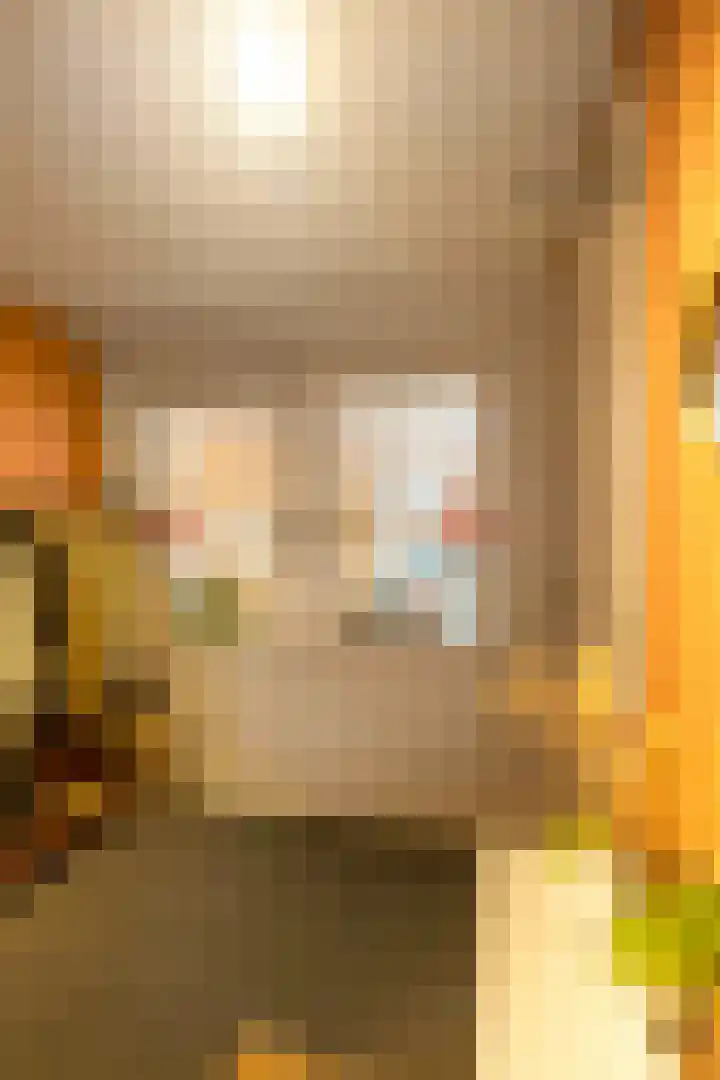 Binderseind 11 Gemert thumbnail 9