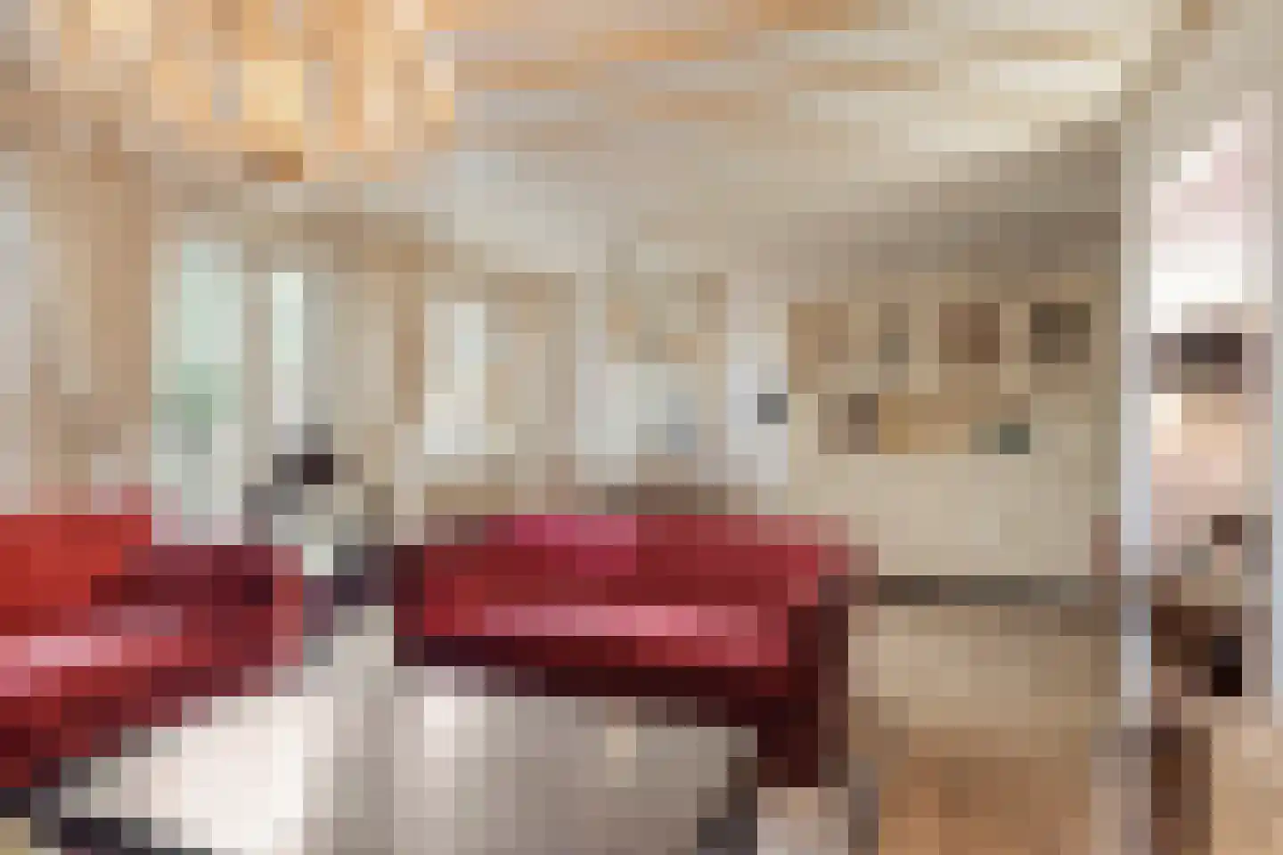 Binderseind 15 Gemert thumbnail 12