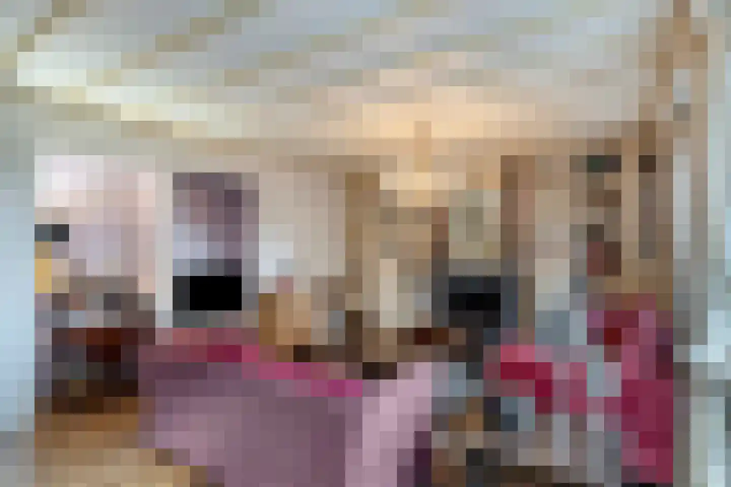 Binderseind 15 Gemert thumbnail 15