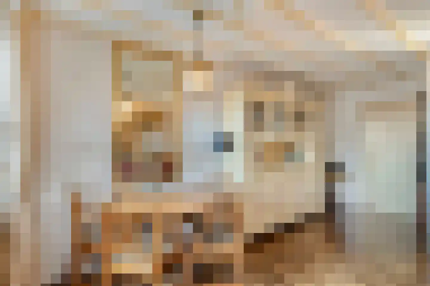 Binderseind 15 Gemert thumbnail 16